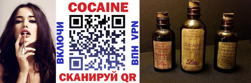 Купить закладки  Пионерский  Cocaine FishScale 