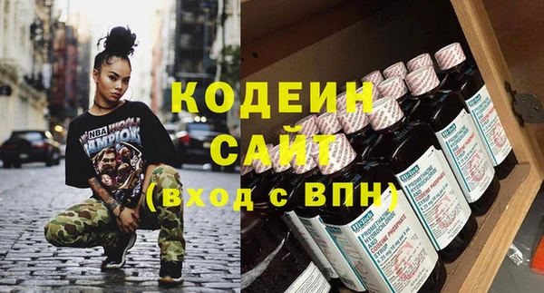 спиды Ельня