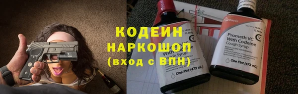 спиды Ельня