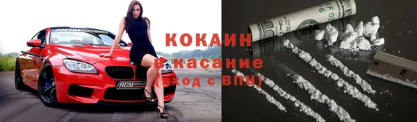 сатива Дмитровск