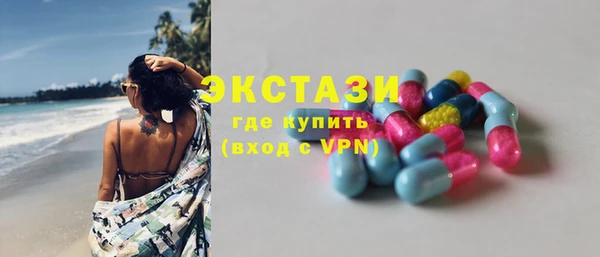спиды Ельня