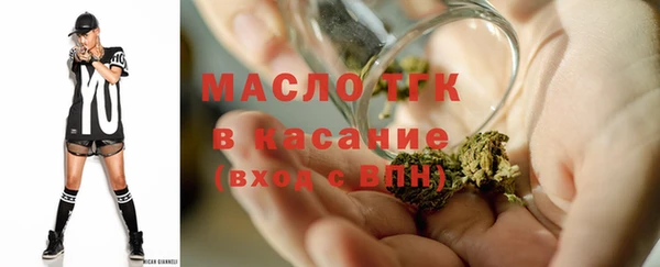 спиды Ельня