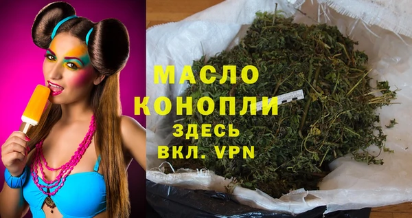 спиды Ельня