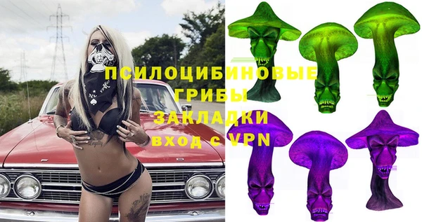 винт Елабуга