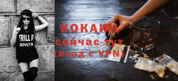 спиды Ельня