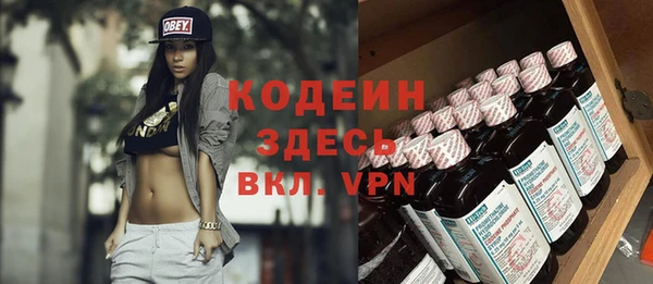 спиды Ельня