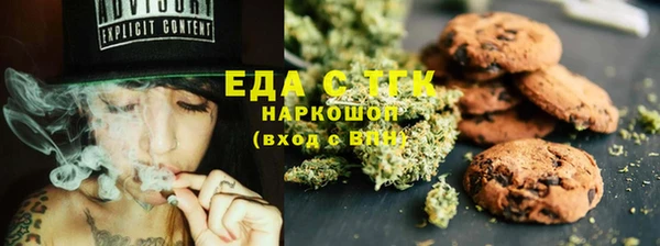 спиды Ельня