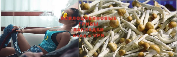 винт Елабуга