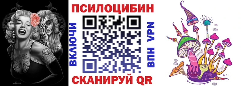 Купить где  Пионерский  Псилоцибиновые грибы Cubensis 